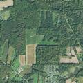 81-year-old woman falls, left hip pain in Garrettsville
