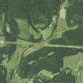 Fallen tree blocks Beaver Lake Road in Hughesville
