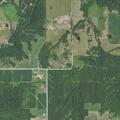 Woman reported causing disturbance at property