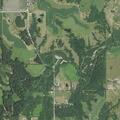 Deputies seek owner of loose livestock near home
