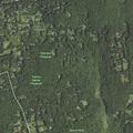 Man passes out after multiple bee stings in Katonah