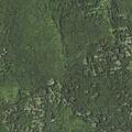 Person suffering abdominal pain on Amawalk Road