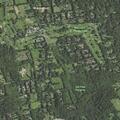 Black bear reported in backyard on Mead Street