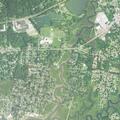 Loose dog reported near Great Hammock Road