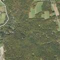 False report of brush fire on Daffodil Drive