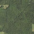 Female falls, possibly breaks ankle near Homer Lane, Eldred
