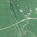 Female Asking for Help at Route 145 and Chapman Mill Pond Rd
