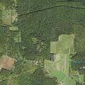 Woman with altered consciousness near Coal City Road