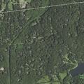 83-year-old woman found unconscious, now breathing