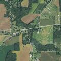 Dog struck and killed near State Route 61