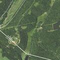 Tree and power lines blocking Beaver Lake Road
