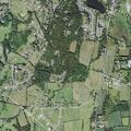 76-year-old woman with altered mental status in Chester