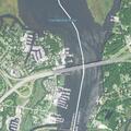 Roaming dog reported near Ferry Landing Marina