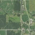 21-year-old male falls from tree with multiple injuries
