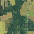 Car hits animal near County Road 50