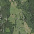 67-year-old male with yellow skin reported on Mahopac Ave