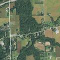 Woman with cord around neck walks into woods
