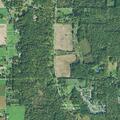 Female fallen near Hemlock Lane in Garrettsville