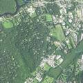 Elderly woman bleeding and feeling faint at Essex Meadows