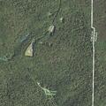 Authorities search Cook Forest for suicidal woman
