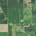 Caller reports unknown juveniles in backyard