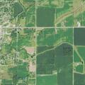 Deputy called about dogs chasing resident