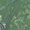 Complaint about barking dog on Spruce Brook Road