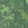 Woman falls near Hattertown Road in Newtown