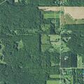 75-year-old woman reported weak near Bristolville