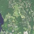 Woman with breathing difficulty and swelling in East Lyme