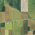 Loose cows blocking roadway on State Route 412
