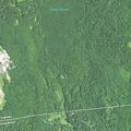 80-year-old male falls near Cedar Swamp Road