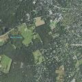 Elderly woman found with head cut after fall
