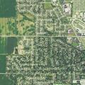 Person in pain near Orleans Avenue in Bowling Green