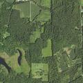 18-year-old male fell from tree stand with arm injury