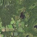 18-year-old male falls from tree stand in Sandy Lake