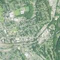 Domestic dispute reported at Triangle Street home