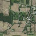 Loose pigs reported near Cromwell residence