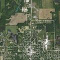 Loose dogs reported on Liberty Drive
