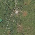 Search for missing 12-year-old near forest home