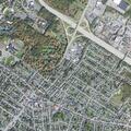 Woman with altered mental status found near Smith Street