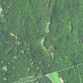 Juvenile female fall reported in Killingworth