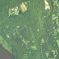 Woman allergic to bee sting near River Road in East Haddam
