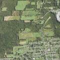 Search for missing juvenile near Forest Road in St Marys