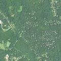 Family dispute over video game in Ledyard