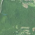 Female fell near Spruce Lane in Beacon Falls