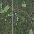 Tree blocking road near Boy Scout camp