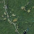 Tree limb blocking shoulder on Route 42