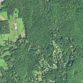 Person found hanging near Green Lane undergoing CPR
