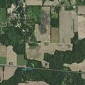 Loose colt near roadway on N 600 W